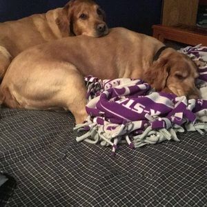 Meet your Posher, Jeremy